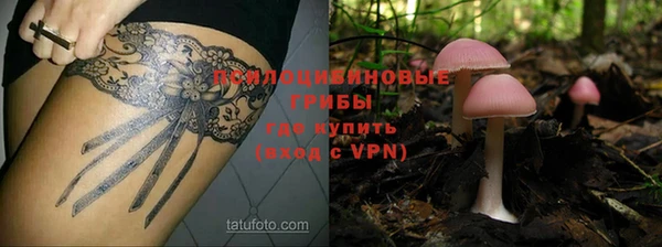 сатива Богданович