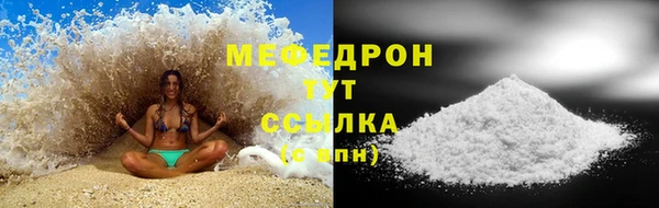 сатива Богданович
