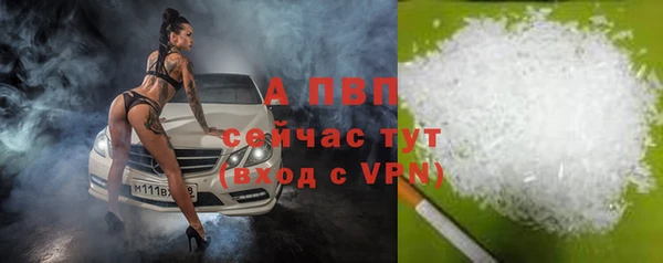 стаф Богородск