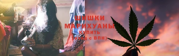 стаф Богородск