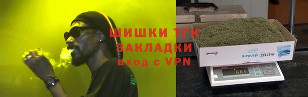 сатива Богданович