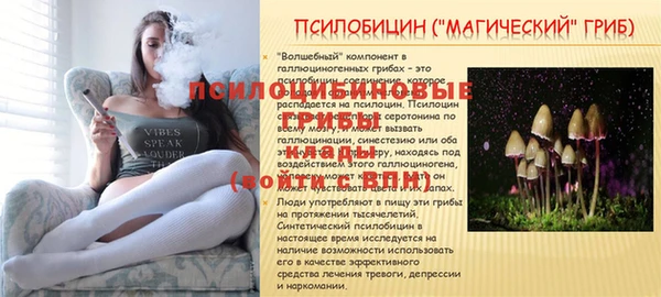 МДПВ Ступино