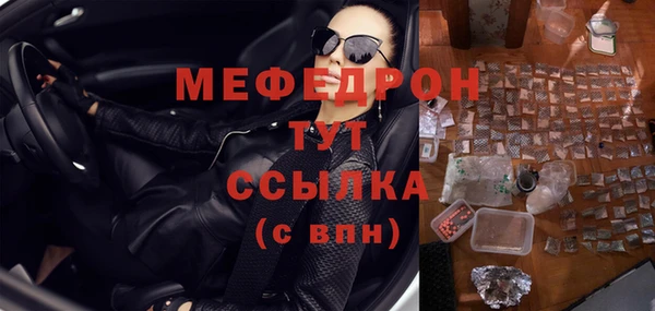сатива Богданович