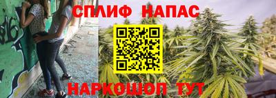 PSILOCYBIN Канаш