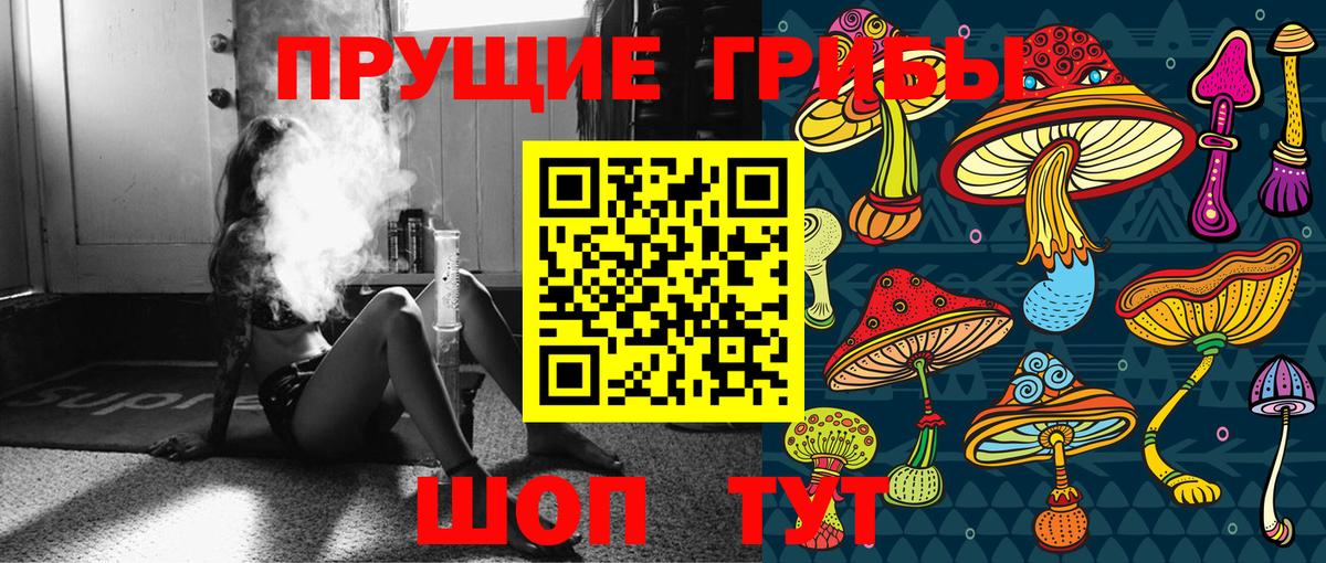 Псилоцибиновые грибы Psilocybe  Вход с VPN  Буйнакск 