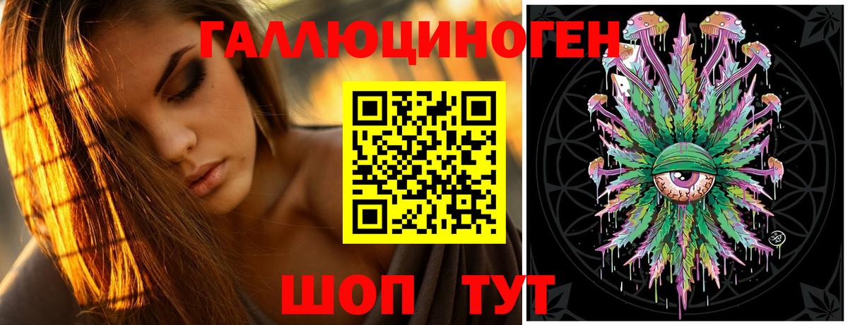 Галлюциногенные грибы GOLDEN TEACHER Буйнакск