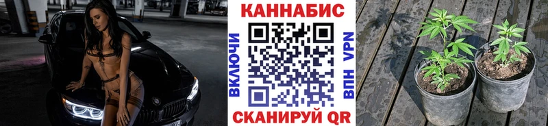 omg ссылка  Буйнакск  Шишки марихуана OG Kush  наркота 